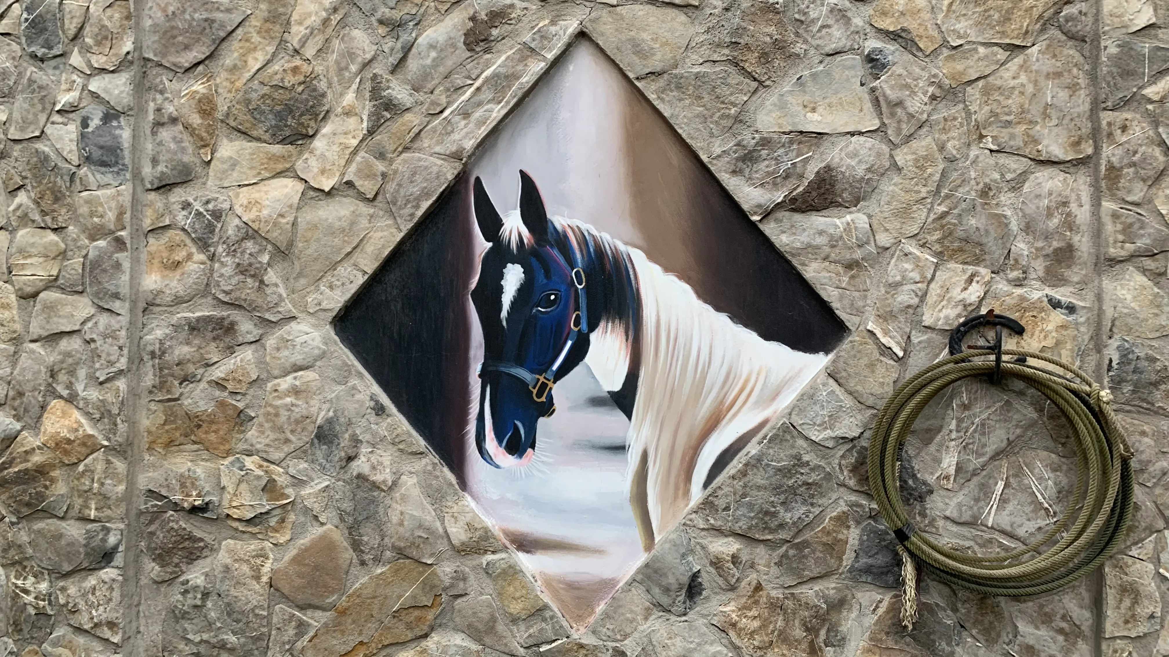 Caballo pinto en el establo