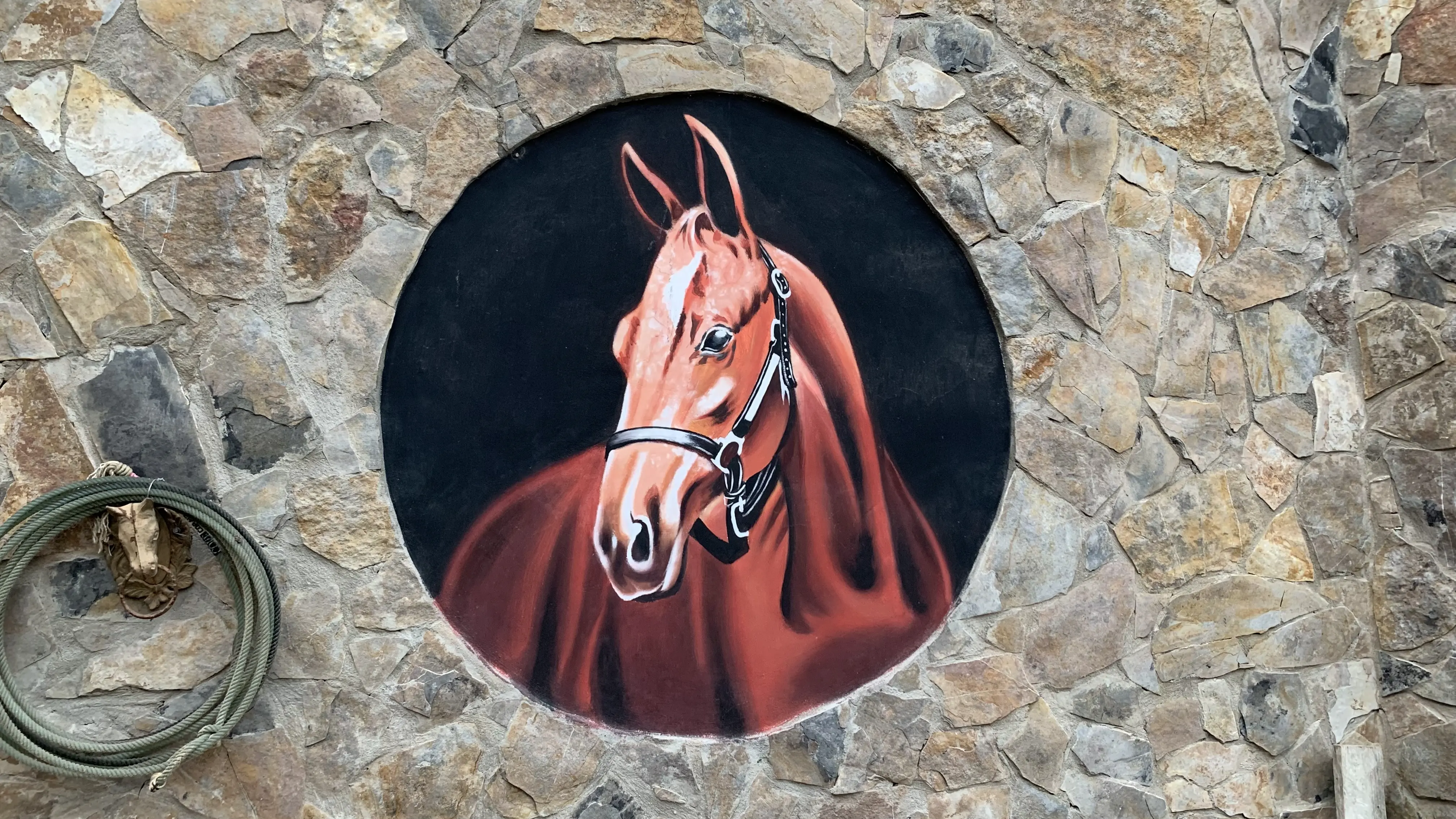 Caballo Alasan